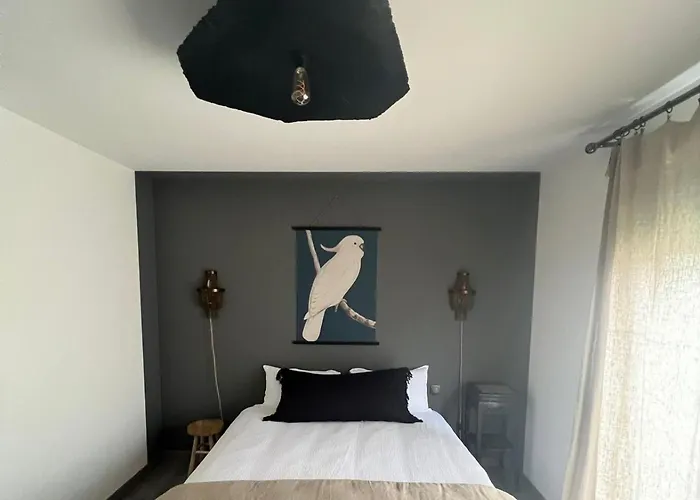 Maison De Charme Avec Piscine